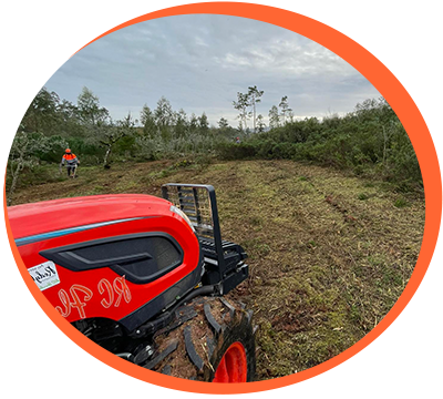 Faixas de Gestão de Combustível