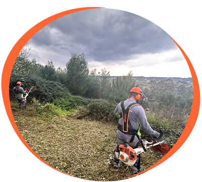 Limpeza e desmatação de terrenos